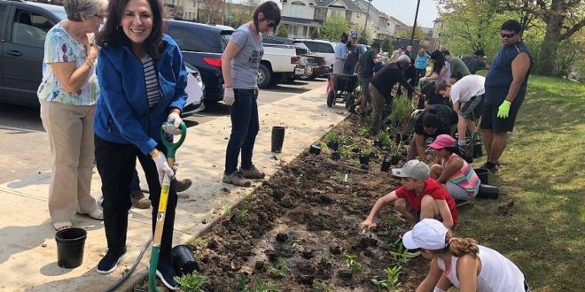 إيفي تريانتافيلوبولس عضو برلمان أونتاريو تشارك في غرس الأشجار