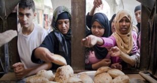 منظومة الخبز