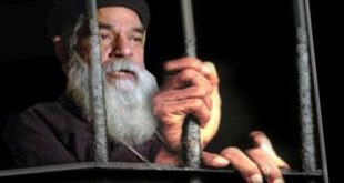 الكنيسة القبطية