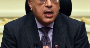 الحكومة المصرية