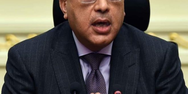 الحكومة المصرية