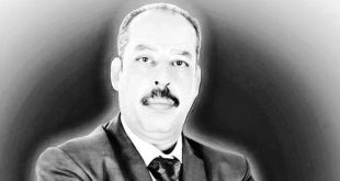 المستشار أحمد بدوى