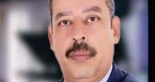 المستشار أحمد بدوى