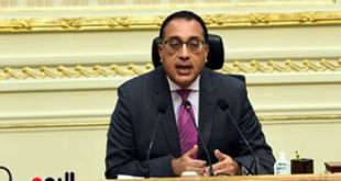 الحكومة المصرية