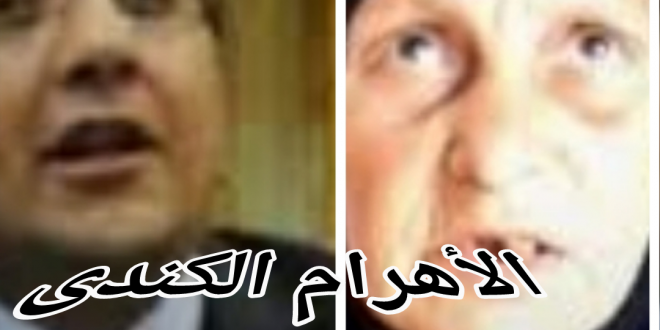 المنيا