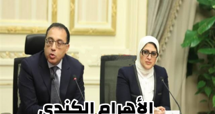 الحكومة المصرية