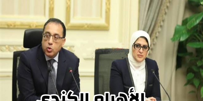 الحكومة المصرية