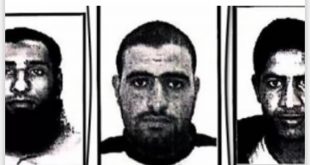 الكنيسة القبطية