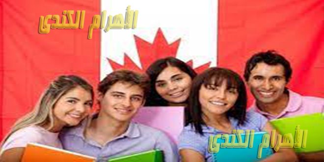 منحة دراسية