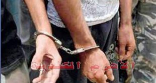 السجون المصرية