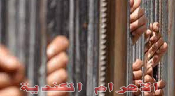 السجون المصرية