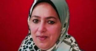 تعليم الجيزة