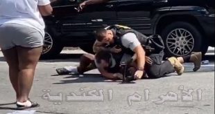 البشرة السمراء