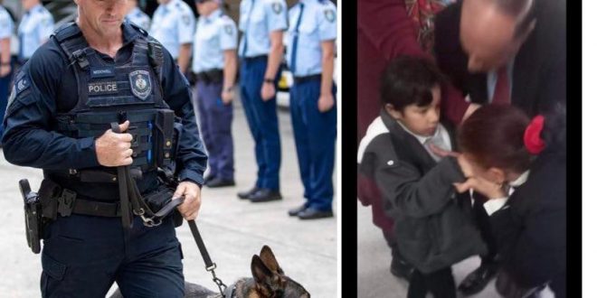 الطفل شنودة