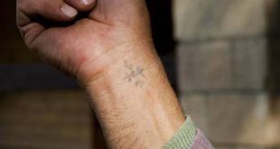 الكنيسة القبطية