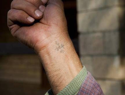 الكنيسة القبطية