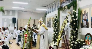 الكنيسة القبطية