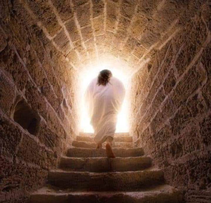 الكنيسة القبطية