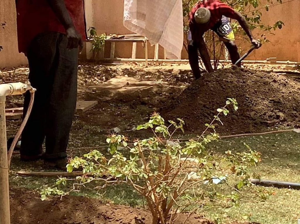 الكنيسة القبطية