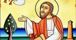 الكنيسة القبطية