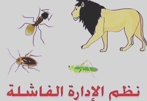 الحكومة المصرية