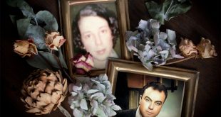 توجو مزراحي