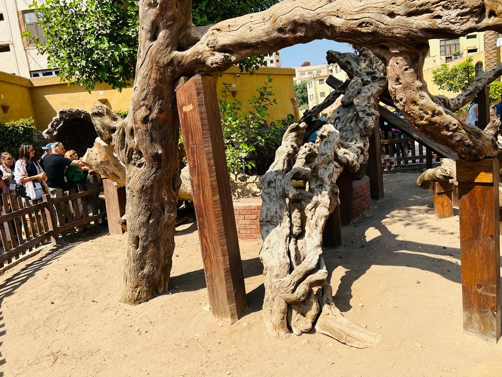 الكنيسة القبطية