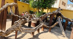 الكنيسة القبطية