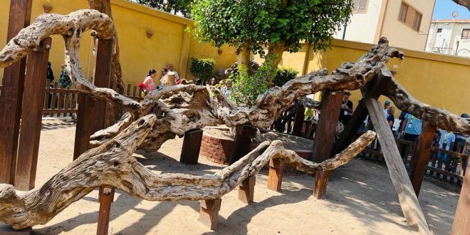 الكنيسة القبطية