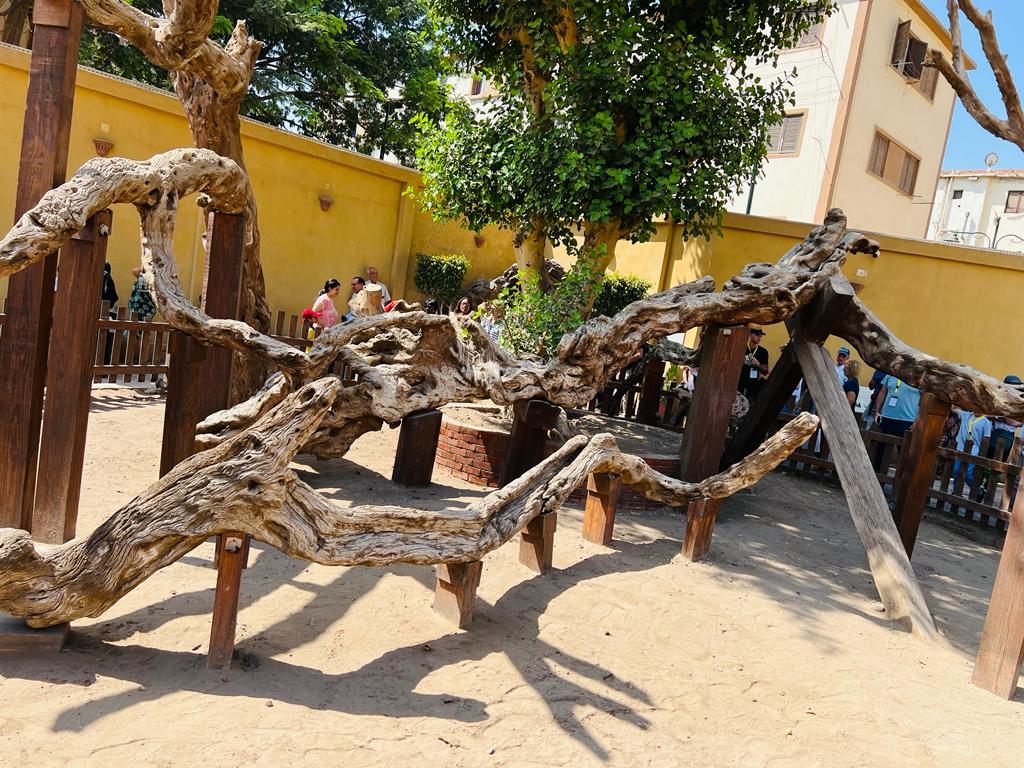 الكنيسة القبطية