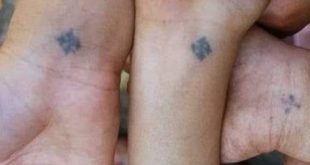 الكنيسة القبطية