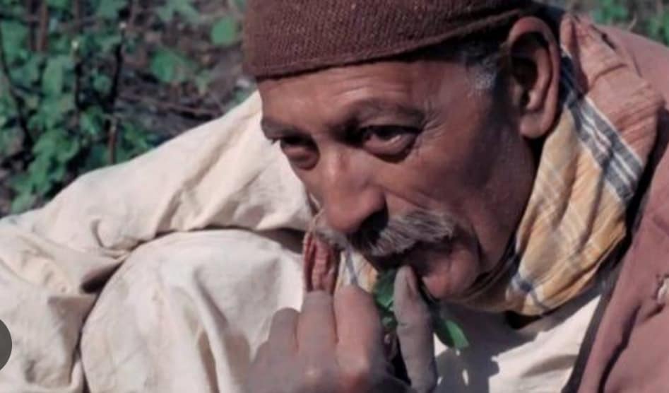 محمود المليجى