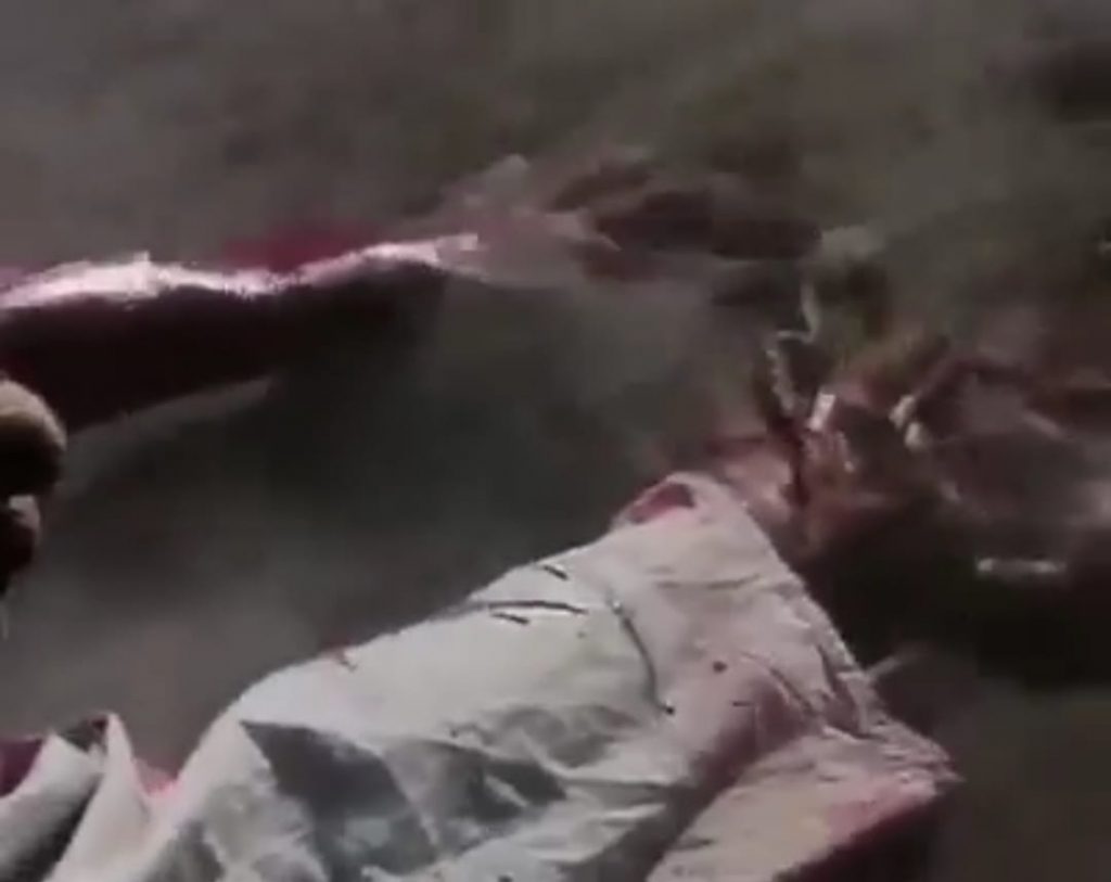 محمود المليجى