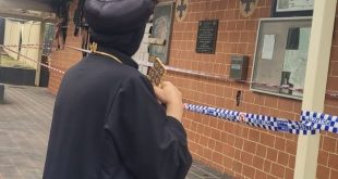 الكنيسة القبطية