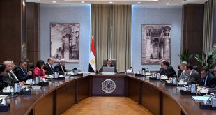 الحكومة المصرية