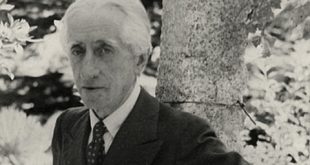 الكنيسة القبطية