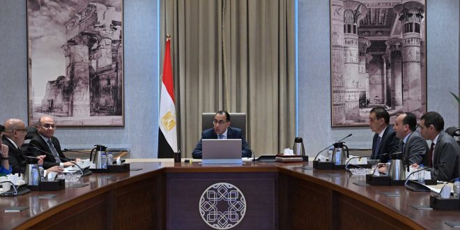 الحكومة المصرية