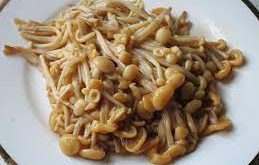 الصحة الكندية