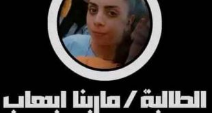 حادثة كوبري الشيخ يونس بقنا