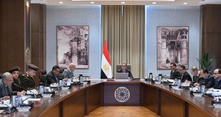 الحكومة المصرية