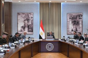 الحكومة المصرية