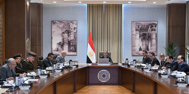 الحكومة المصرية