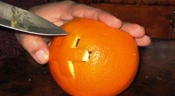 الكنيسة القبطية