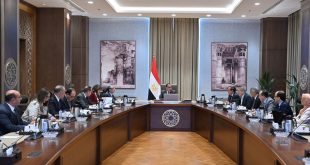 الحكومة المصرية