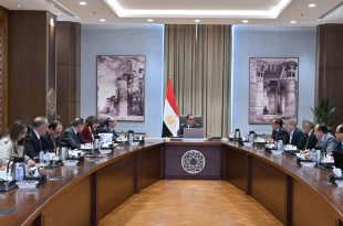 الحكومة المصرية