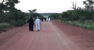 الكنيسة القبطية