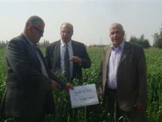 الزراعة المصرية