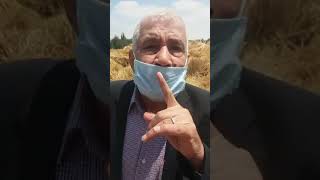 الزراعة المصرية