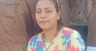 الكنيسة القبطية