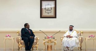 الدول العربية